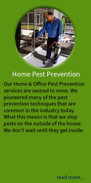 Home Pest Prevention